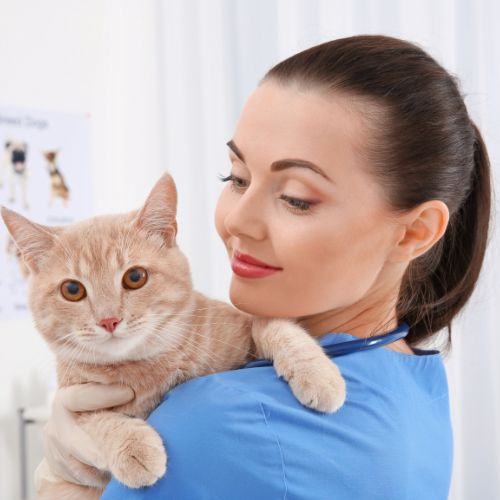 Veterinary Services